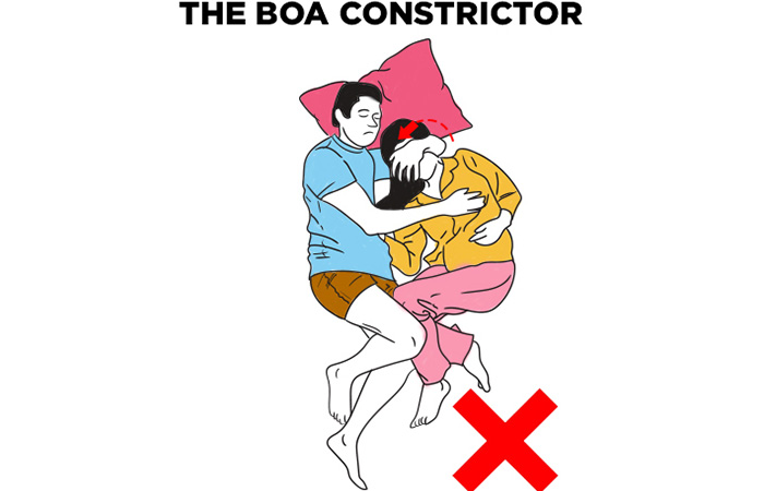  The Boa Constrictor