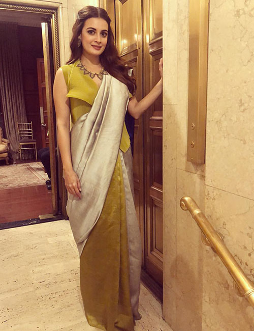 Uniquely Structured Saree