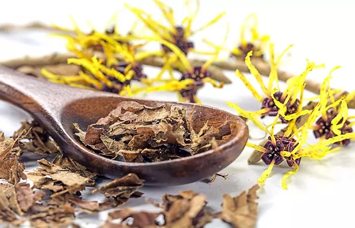 Witch Hazel
