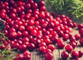 करौंदा (क्रैनबेरी) के फायदे, उपयोग और नुकसान - All About Cranberries in ...