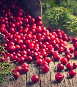 करोंदा (क्रैनबेरी) के फायदे, उपयोग और नुकसान - Cranberry Benefits, Uses and Side Effects in Hindi