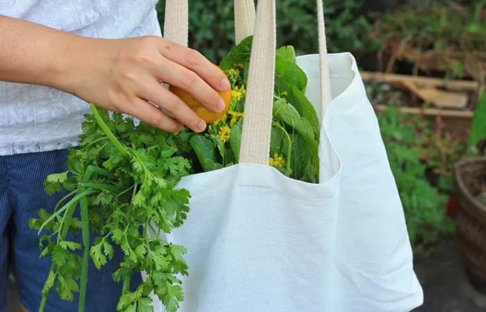3. Carry Your Own Bags When You Go Shopping