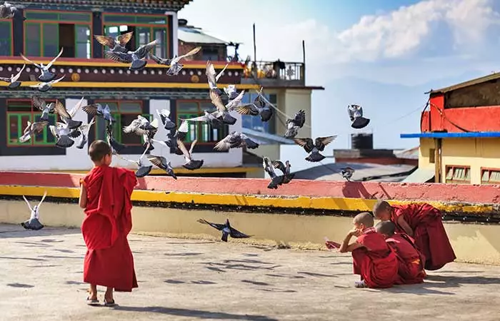 4. Experience And Learn About Spirituality — Trek Through The Monasteries In Sikkim