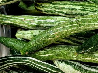 All About Snake Gourd (Chichinda) in Hindi