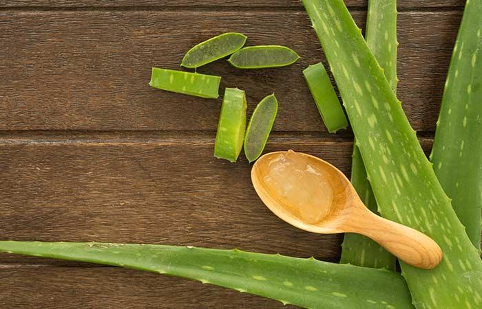 Aloe Vera