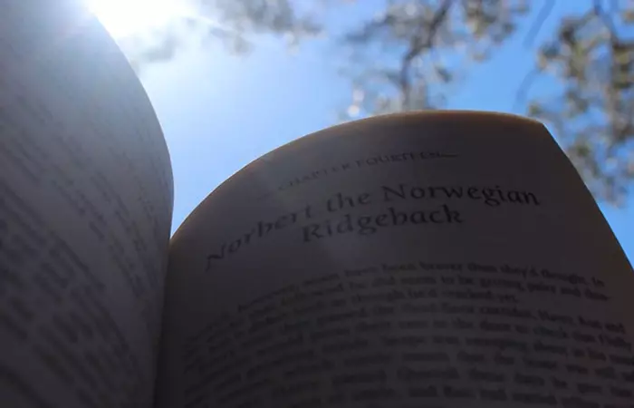 Being An Outdoorsy Bibliophile On Instagram