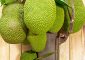 कटहल के 12 फायदे, उपयोग और नुकसान - Jackfruit Benefits, Uses and ...