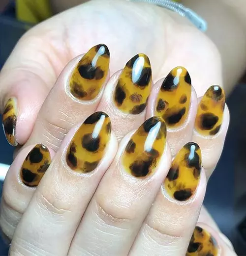 For The Animal Lover In You