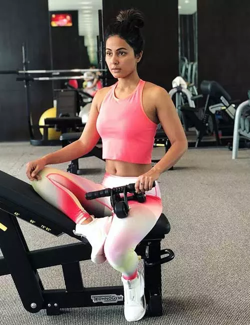 Her Stints In Reality Shows Big Boss 11 And Khatron Ke Khiladi Season 8