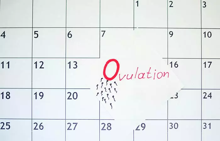 How Can Irregular Periods Affect Your Ability To Conceive