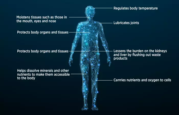 How To Drink More Water