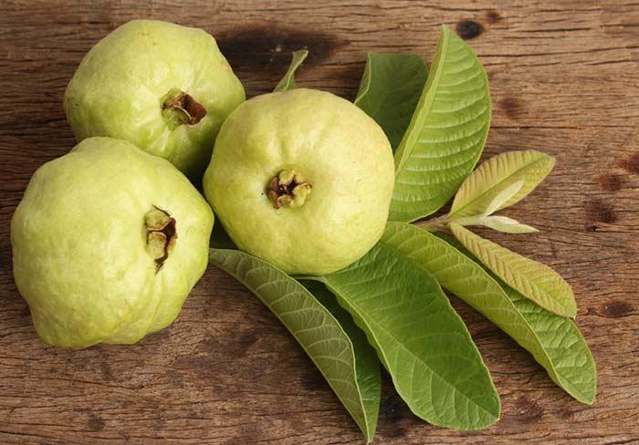 How to store Guava in Hindi