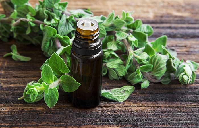 Oregano Oil