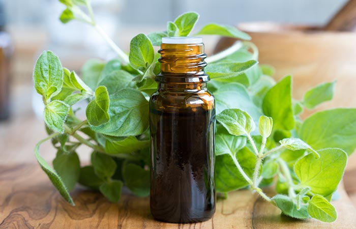 Oregano oil for a staph infection