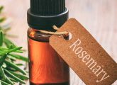रोज़मेरी तेल के 17 फायदे, उपयोग और नुकसान - Rosemary Benefits, Uses ...