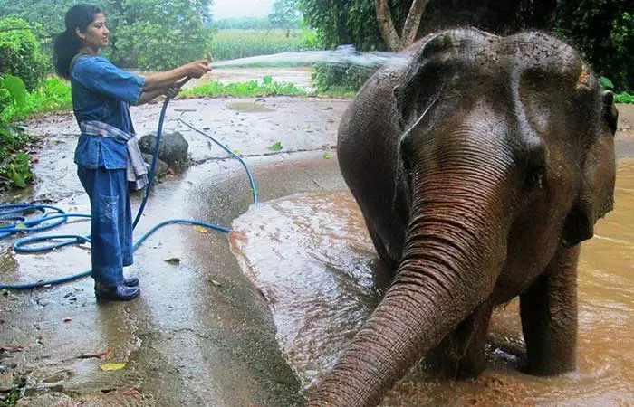 Well, It Definitely Is Road Not Taken By Many