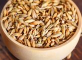 जौ के 20 फायदे, उपयोग और नुकसान - 20 Amazing Benefits of Barley in ...