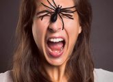 6 Effective Home Remedies For Spider Bites
