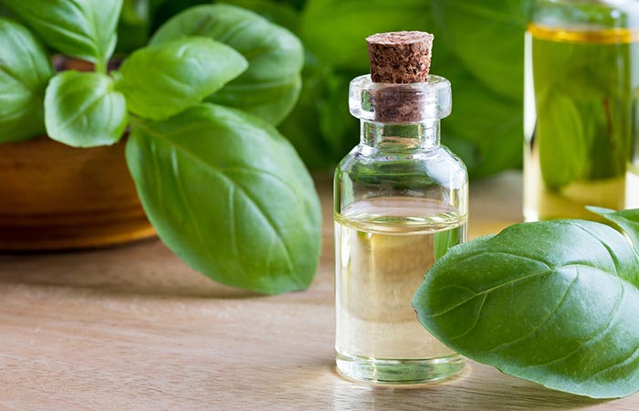 Basil leaf for white spots treatment in hindi