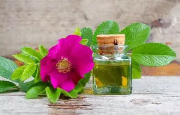 Benefits of rosehip seed oil
