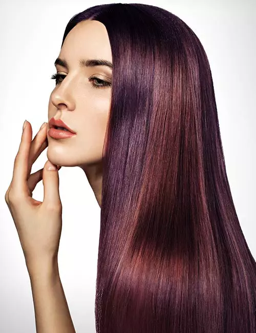Brown and deep lavender purple hair