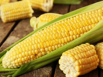 Corn Bhutta Benefits Uses and Side Effects in Hindi