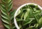 Curry Leaves Benefits, Uses and Side Effects in Hindi