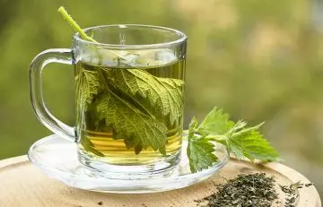 How to Use Nettle Leaf in Hindi