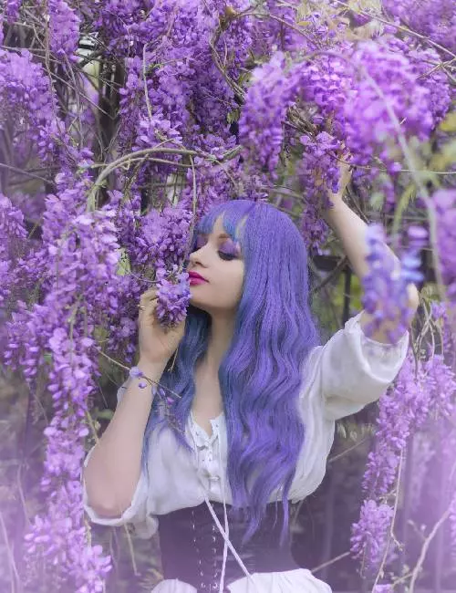 Lavender Dreams