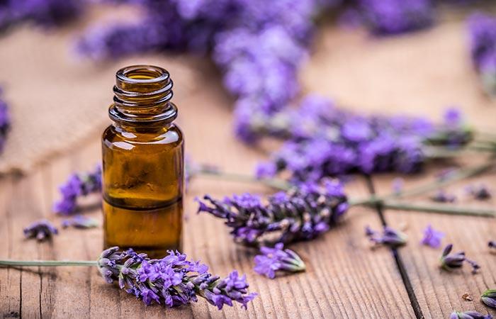 Lavender Essential Oil