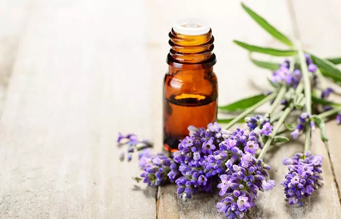 Lavender oil for spider bite