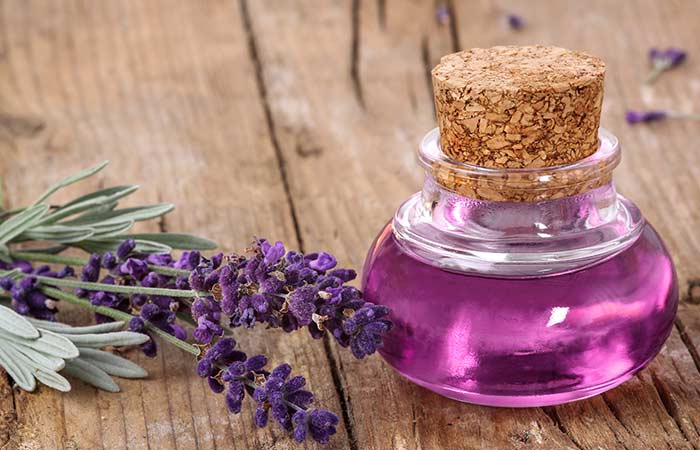 Lavender oil for spider bite