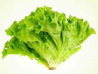 Lettuce Benefits Uses and Side Effects in Hindi