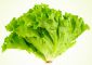 सलाद के पत्ते के 16 फायदे, उपयोग और नुकसान - Lettuce Benefits, Uses ...