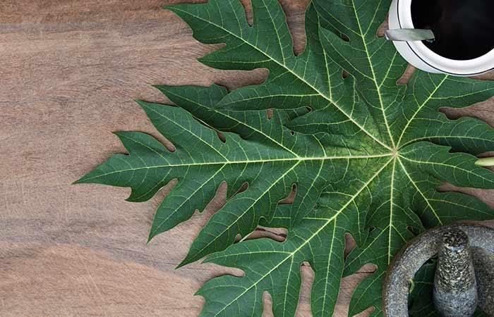 Papaya leaves