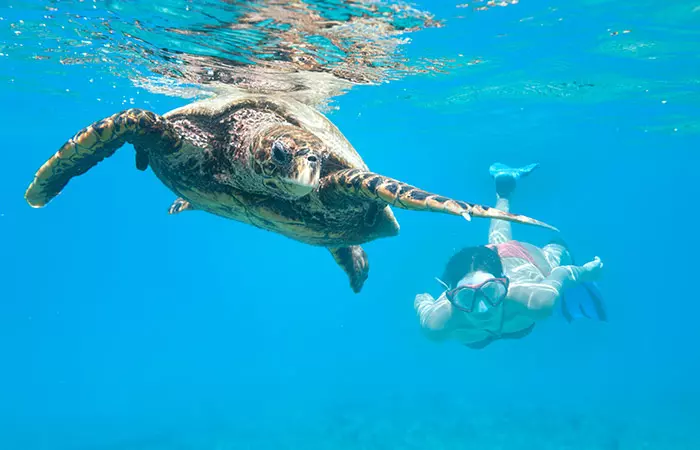 Seychelles