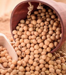 Soybean Benefits, Uses and Side Effects in Hindi