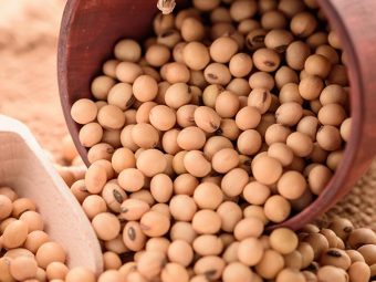Soybean Benefits, Uses and Side Effects in Hindi