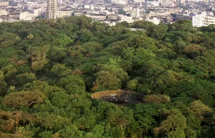 The Tower Of Silence