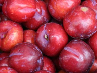 आलूबुखारा के 11 फायदे, उपयोग और नुकसान - Plums Benefits, Uses and Side Effects in Hindi