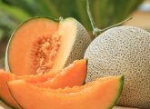 19 Amazing Benefits of Musk Melon (Kharbuja) In Hindi- खरबूजा खाने ...