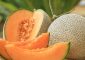 19 Amazing Benefits of Musk Melon (Kharbuja) In Hindi- खरबूजा खाने ...