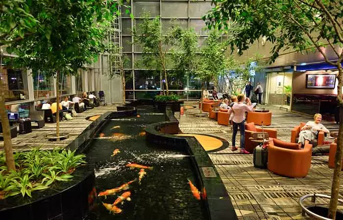 #1 – Changi International Airport, Singapore