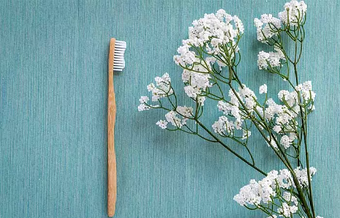 Bamboo Toothbrushes