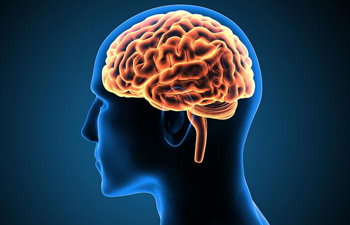 Brain damage protection