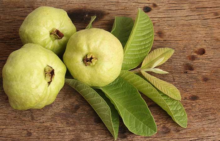 Guava leaves