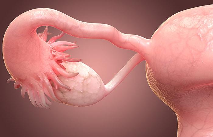 Keep ovaries healthy