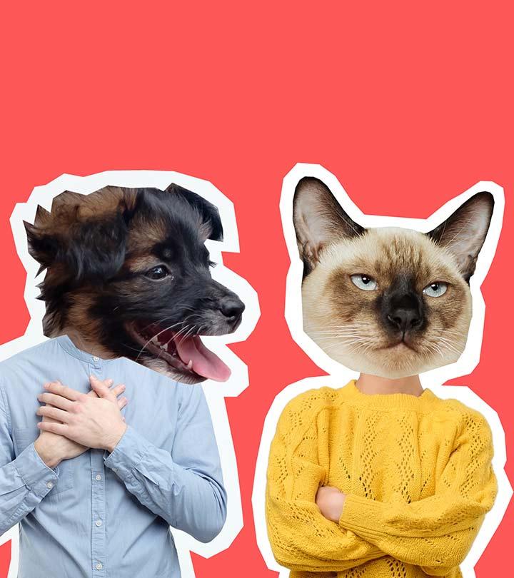 Memes that show the major Difference between cat people and dog people