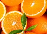 संतरे के 17 फायदे, उपयोग और नुकसान - Oranges Benefits, Uses and ...
