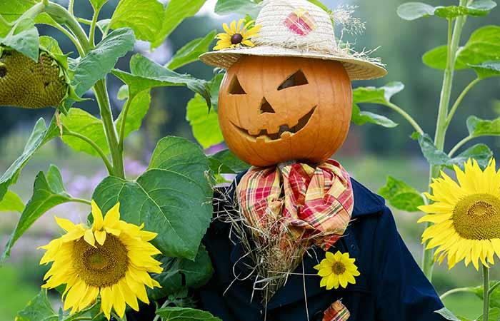 Pumpkin Scarecrow